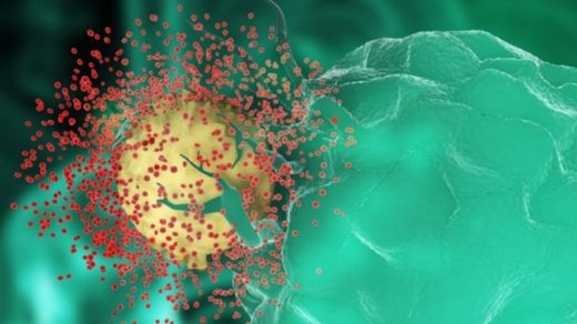 Hepatit A Hastalığı Belirtileri ve Tedavisi