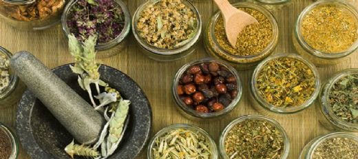 Hepatit B Bitkisel Tedavisi