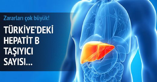 Hepatit B Taşıyıcılığının Riski