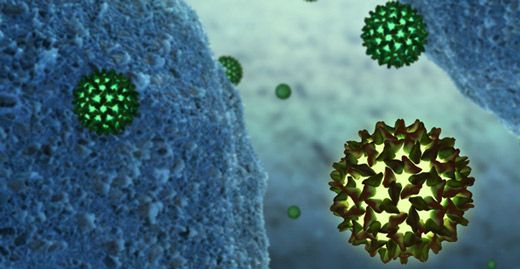 Hepatit B Virüsü Belirtileri ve Tedavisi