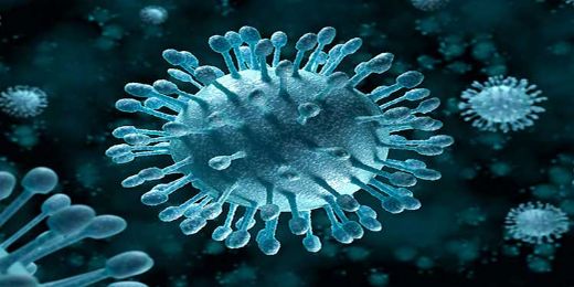 Hepatit C Virüsü
