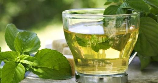 Kronik Hepatit B Bitkisel Tedavisi