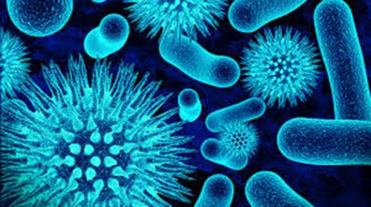 Kronik Hepatit B Taşıyıcılığı Nedir?