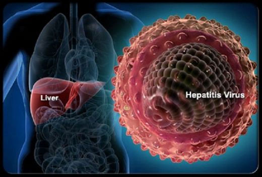 Kronik Viral Hepatit B Delta Ajansız